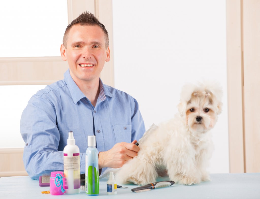 Dog groomer in Patch Leg 